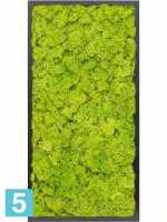 Картина из искусственного мха сатин блеск 100% олений мох (весенний зеленый) темный фон l-80 w-40 h-6 см в Москве