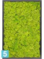Картина из искусственного мха сатин блеск 100% олений мох (весенний зеленый) темный фон l-60 w-40 h-6 см в Москве