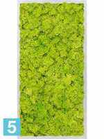 Картина из искусственного мха алюминий 100% олений мох (весенний зеленый) l-80 w-40 h-6 см в Москве