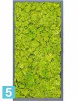 Картина из искусственного мха атласный блеск 100% олений мох (весенний зеленый) l-80 w-40 h-6 см в Москве