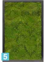 Картина из искусственного мха satin gloss 100% плоский мох l-60 w-40 h-6 см в Москве