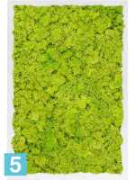Картина из искусственного мха сатин блеск 100% олений мох (весенний зеленый) светлый фон l-60 w-40 h-6 см в Москве