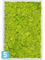 Картина из искусственного мха алюминий 100% олений мох (весенний зеленый) l-60 w-40 h-6 см в Москве