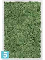 Картина из искусственного мха алюминий 100% олений мох (мох зеленый) l-60 w-40 h-6 см в Москве