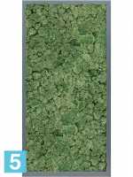 Картина из искусственного мха атласный блеск 100% олений мох (мох зеленый) l-80 w-40 h-6 см в Москве