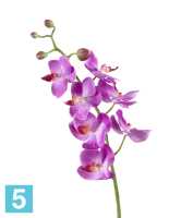 Искусственный цветок для декора Орхидея Фаленопсис Элегант светло-фиолетовая TREEZ Collection в Москве
