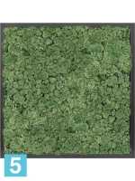 Картина из искусственного мха атласный блеск 100% олений мох (мох зеленый) темный фон l-60 w-60 h-6 см в Москве