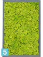 Картина из искусственного мха атласный блеск 100% олений мох (весенний зеленый) l-60 w-40 h-6 см в Москве