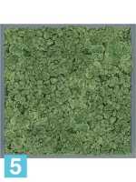 Картина из искусственного мха атласный блеск 100% олений мох (мох зеленый) серый фон l-60 w-60 h-6 см в Москве