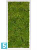 Картина из искусственного мха сатин блеск 100% плоский мох светлый фон l-80 w-40 h-6 см в Москве