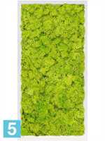Картина из искусственного мха сатин блеск 100% олений мох (весенний зеленый) светлый фон l-80 w-40 h-6 см в Москве
