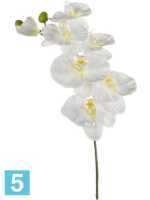 Орхидея фаленопсис ветвь белая искусственная h-80 см в Москве