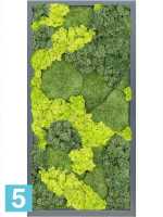 Картина из искусственного мха атласный блеск 30% шаровый мох 70% олень мох (микс) l-80 w-40 h-6 см в Москве