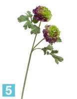 Искусственный цветок для декора ранункулюс махровый светлозеленый с фиолетовым TREEZ Collection в Москве