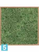 Картина из искусственного мха бамбук 100% олений мох (мох зеленый) l-80 w-80 h-6 см в Москве