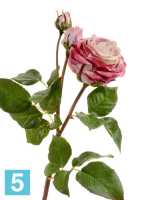 Искусственный цветок для декора Роза Дэвид Остин Мидл ветвь пудрово-розово-малиновая TREEZ Collection в Москве