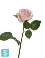 Искусственный цветок для декора Роза Джулии нежно-розовая с кремовым TREEZ Collection в Москве