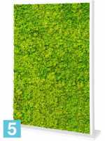 Перегородка из искусственного мха двусторонняя белая 100% олений мох (весенне-зеленый) l-120 w-30 h-160 см в Москве
