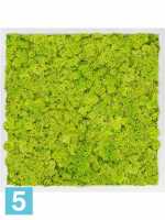 Картина из искусственного мха сатин блеск 100% олень (весенний зеленый) l-60 w-60 h-6 см в Москве