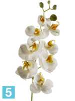 Орхидея фаленопсис ветвь белая с золотистым искусственная h-68 см в Москве
