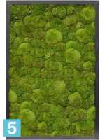 Картина из искусственного мха сатин блеск 100% шаровый мох темный фон l-60 w-40 h-6 см в Москве
