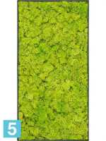 Картина из искусственного мха stiel l матовая 100% олений мох (весенне-зеленый) темный фон l-100 w-50 h-6 см в Москве