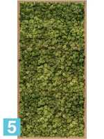 Картина из искусственного мха бамбук 100% олений мох (средне-зеленый) l-120 w-60 h-6 см в Москве