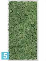 Картина из искусственного мха алюминий 100% олений мох (мох зеленый) l-80 w-40 h-6 см в Москве