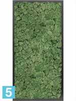 Картина из искусственного мха сатин блеск 100% олений мох (мох зеленый) l-80 w-40 h-6 см в Москве