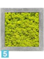Картина из искусственного мха polystone raw grey 100% олений мох (весенний зеленый) l-50 w-50 h-5 см в Москве