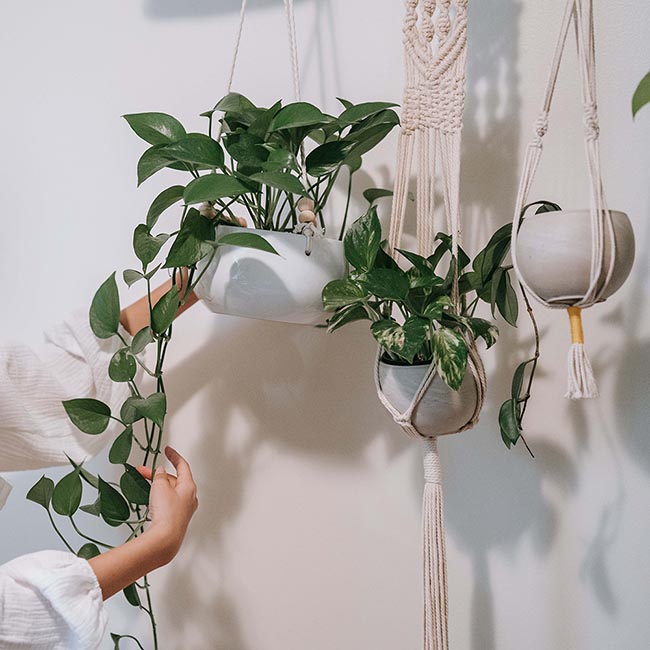 Макраме бохо