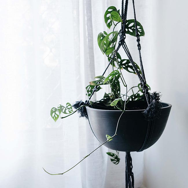 Подвесное кашпо