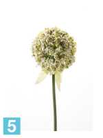 Искусственный цветок для декора Аллиум (Дикий лук) h70 см кремовый в Москве