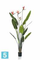 Искусственный цветок в горшке Стрелиция высокая трава для интерьера 150h (4 цветка) в #REGION_NAME_DECLINE_PP#