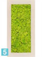 Картина из искусственного мха polystone натуральный 100% олений мох (весенний зеленый) l-100 w-50 h-5 см в Москве