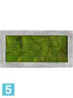 Картина из искусственного мха polystone raw grey 100% плоский мох l-100 w-50 h-5 см