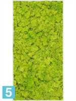 Картина из искусственного мха stiel l матовая 100% олений мох (весенне-зеленый) светлый фон l-100 w-50 h-6 см в Москве