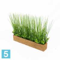 Осока с самшитом искусственная Alseed, h-28 см. в кокосовом боксе 50*8*8