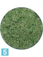 Картина из искусственного мха рафинированная сосна зеленая 100% олений мох (мох зеленый) d-40 h-5 см в Москве