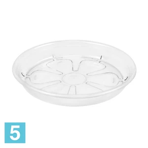 Поддон Prosperplast Coubi, прозрачный 26-d, 3,7-h
