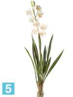 Орхидея цимбидиум кремовая искусственная h-90 см в #REGION_NAME_DECLINE_PP#