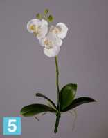Искусственный цветок для декора Орхидея Фаленопсис-мини белая куст с корнями TREEZ Collection в #REGION_NAME_DECLINE_PP#
