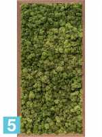 Картина из искусственного мха meranti 100% олений мох (средне-зеленый) l-80 w-40 h-6 см в Москве