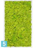 Картина из искусственного мха сатин блеск 100% олений мох (весенний зеленый) светлый фон l-100 w-60 h-6 см в Москве