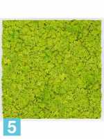 Картина из искусственного мха атласный блеск 100% олень (весенний зеленый) l-100 w-100 h-6 см