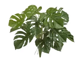 Монстера Деликоза куст искусственная TREEZ Collection 60-d, 55-h