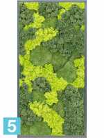 Картина из искусственного мха сатин блеск 30% шаровый мох 70% олень мох (микс) серый фон l-120 w-60 h-6 см