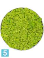 Картина из искусственного мха утонченная дымчатая серая 100% олений мох (весенняя зелень) d-40 h-5 см в Москве