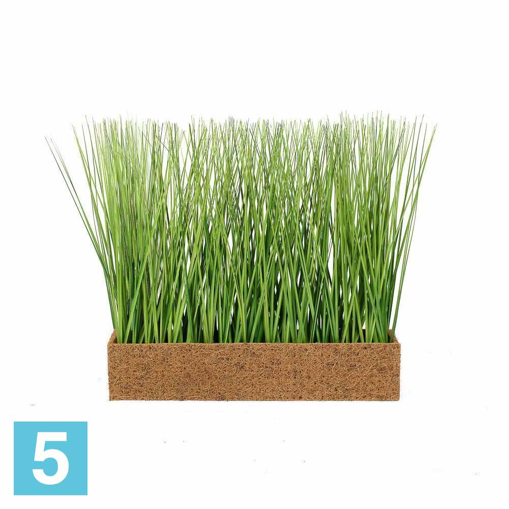 Grass box