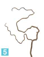 Искусственная ветка Салекса изогнутая светло-коричневая TREEZ Collection в #REGION_NAME_DECLINE_PP#